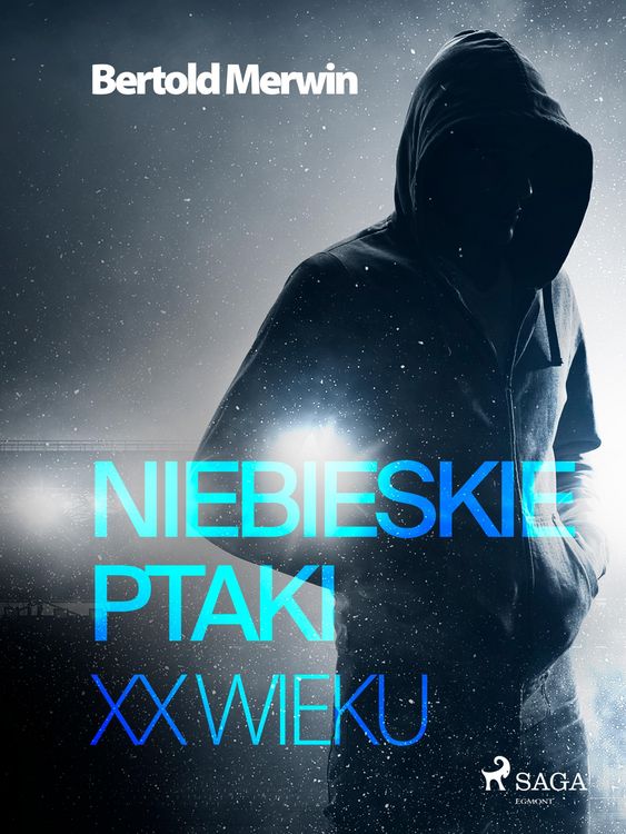 Produktbild: Niebieskie ptaki XX wieku