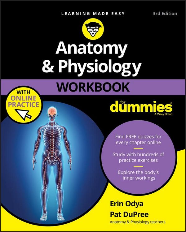 Produktbild: Anatomy & Physiology Workbook For Dummies with Online Practice