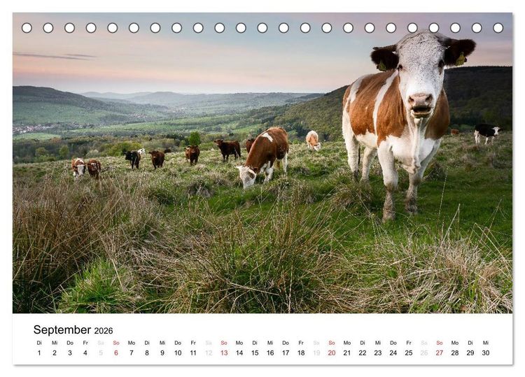 Produktbild: Naturerlebnis im Biosph&auml;renreservat Rh&ouml;n (Tischkalender 2026 DIN A5 quer), CALVENDO Monatskalender
