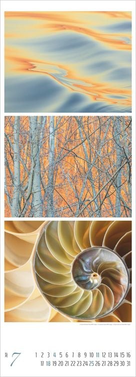 Produktbild: Colours of Nature - Triplets 2027