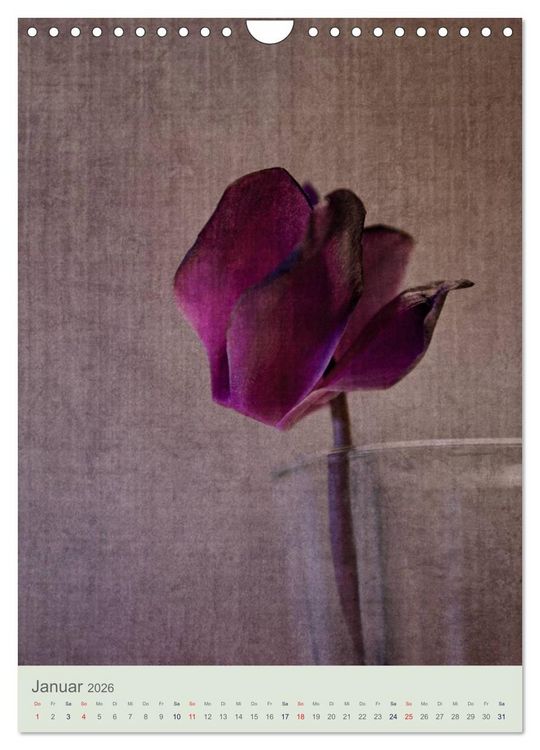 Produktbild: Flora (Wandkalender 2026 DIN A4 hoch), CALVENDO Monatskalender