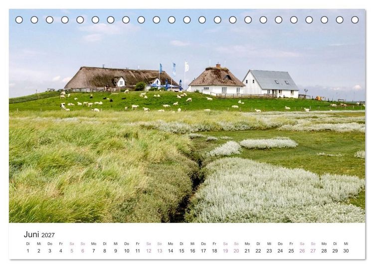 Produktbild: Hamburger Hallig - Der Weg ist das Ziel (Tischkalender 2027 DIN A5 quer), CALVENDO Monatskalender