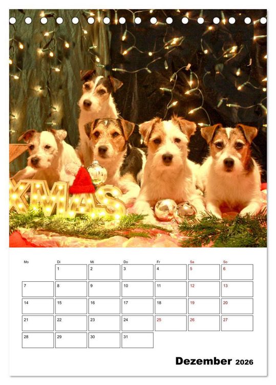 Produktbild: Tender Fellows - Parson Russell Terrier (Tischkalender 2026 DIN A5 hoch), CALVENDO Monatskalender
