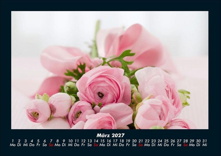 Produktbild: Rosen-Kalender 2027 Fotokalender DIN A4