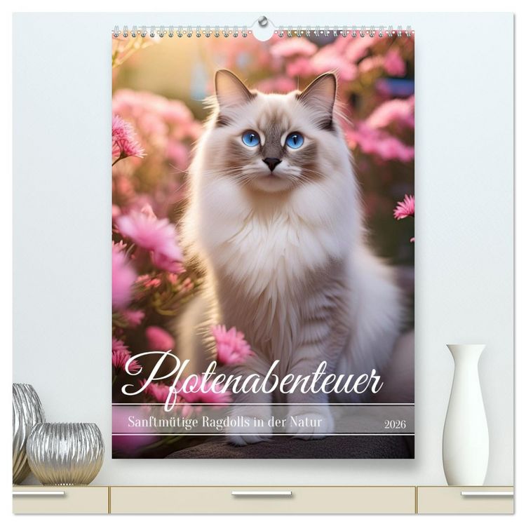 Produktbild: Pfotenabenteuer - Ragdolls in der Natur (hochwertiger Premium Wandkalender 2026 DIN A2 hoch), Kunstdruck in Hochglanz
