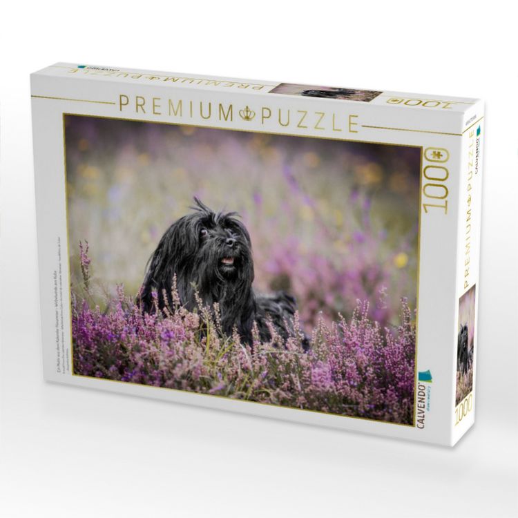 Produktbild: CALVENDO Puzzle Ein Motiv aus dem Kalender Havaneser - Wirbelwinde aus Kuba | 1000 Teile Lege-Gr&ouml;&szlig;e 64x48cm Foto-Puzzle f&uuml;r gl&uuml;ckliche Stunden