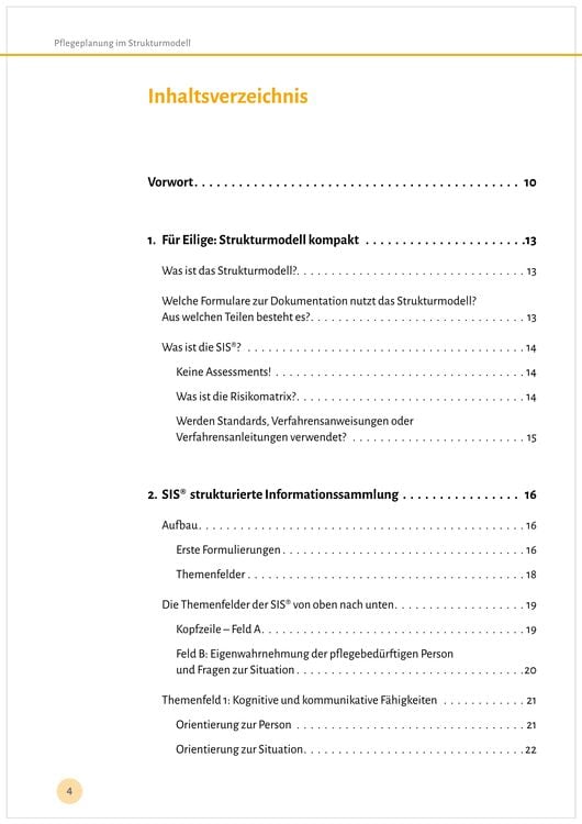 Produktbild: Pflegeplanung im Strukturmodell