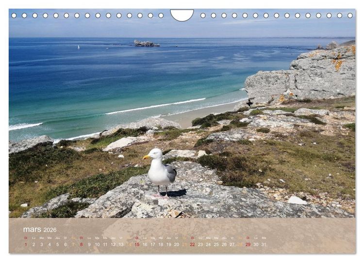 Produktbild: &Eacute;chapp&eacute;e Breizh (Calendrier mural 2026 DIN A4 vertical), CALVENDO calendrier mensuel