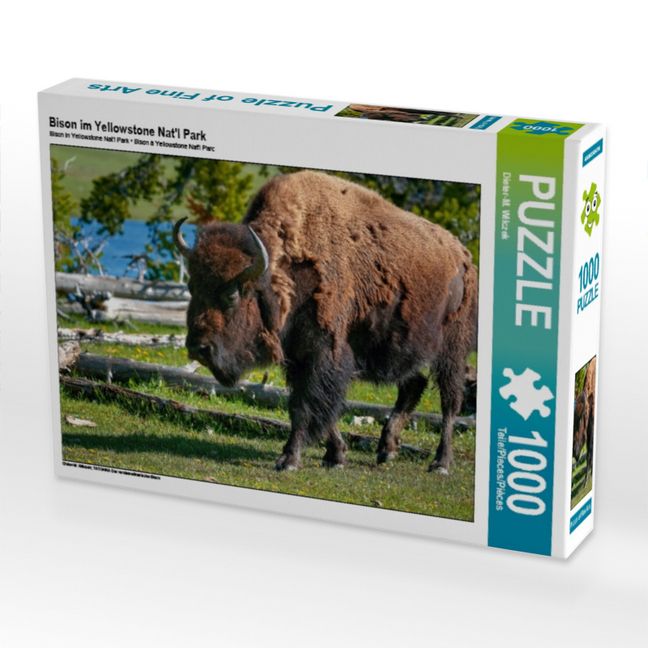 Produktbild: CALVENDO Puzzle Bison im Yellowstone Nat'l Park 1000 Teile Puzzle quer | 1000 Teile Lege-Gr&ouml;&szlig;e 64 &times; 48 cm Foto-Puzzle f&uuml;r gl&uuml;ckliche Stunden