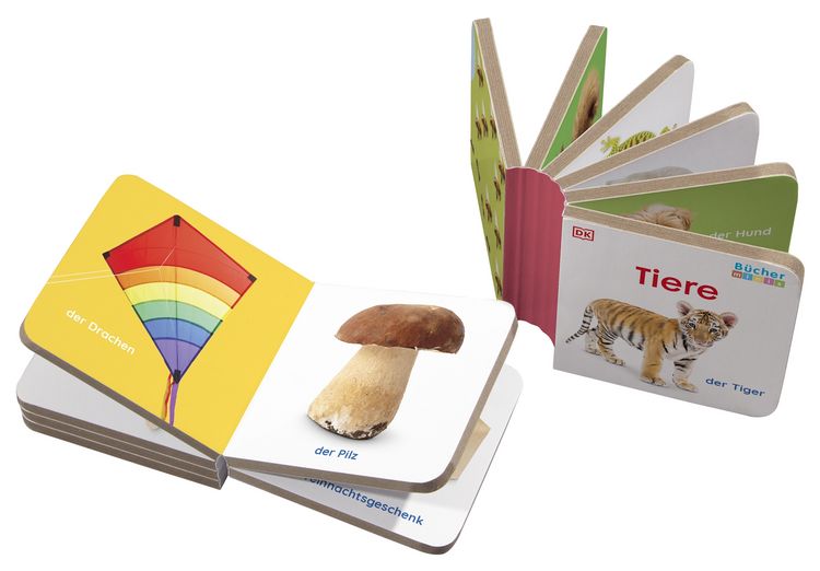 Produktbild: Erstes Lernen B&uuml;cherminis. Meine Welt