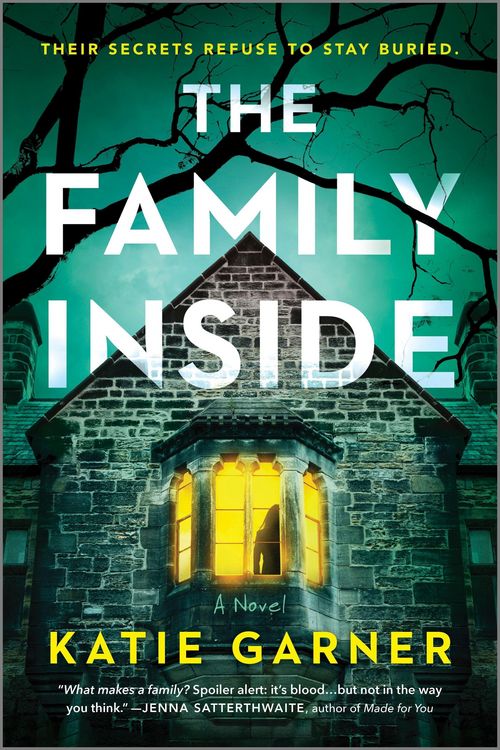 Produktbild: The Family Inside