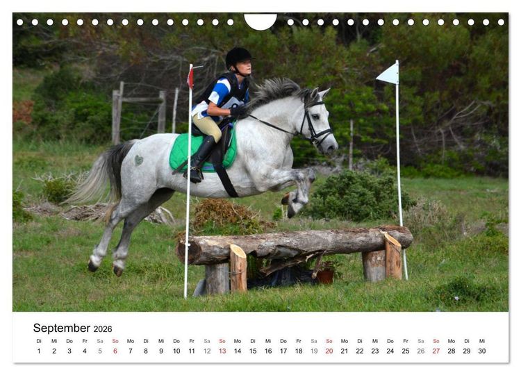 Produktbild: Eventing - Der ultimative Reitsport (Wandkalender 2026 DIN A4 quer), CALVENDO Monatskalender