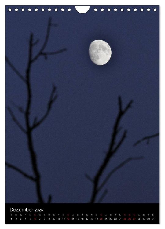Produktbild: Wunderbarer Spreewald (Wandkalender 2026 DIN A4 hoch), CALVENDO Monatskalender