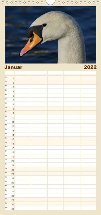 Produktbild: Das faszinierende Leben der Schw&auml;ne - Familienplaner hoch (Wandkalender 2022 , 21 cm x 45 cm, hoch)