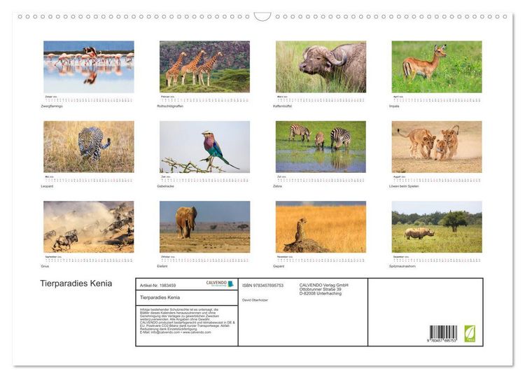 Produktbild: Tierparadies Kenia (Wandkalender 2026 DIN A2 quer), CALVENDO Monatskalender