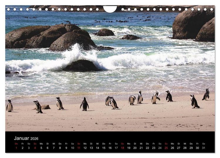 Produktbild: Abenteuer Afrika (Wandkalender 2026 DIN A4 quer), CALVENDO Monatskalender