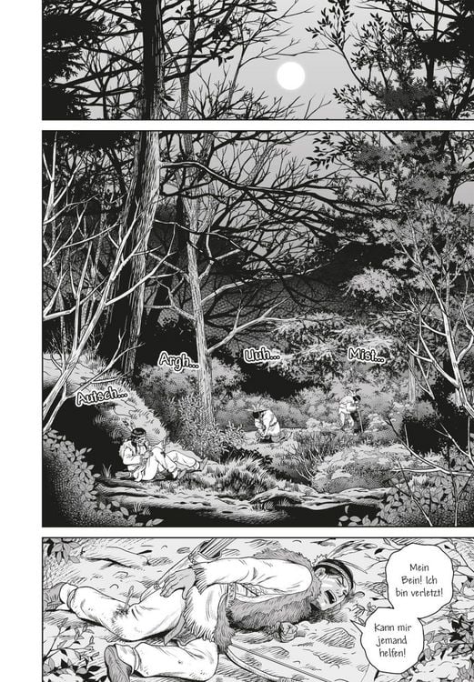 Produktbild: Vinland Saga 29