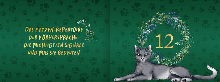 Produktbild: Pfoten vom Tannenbaum
