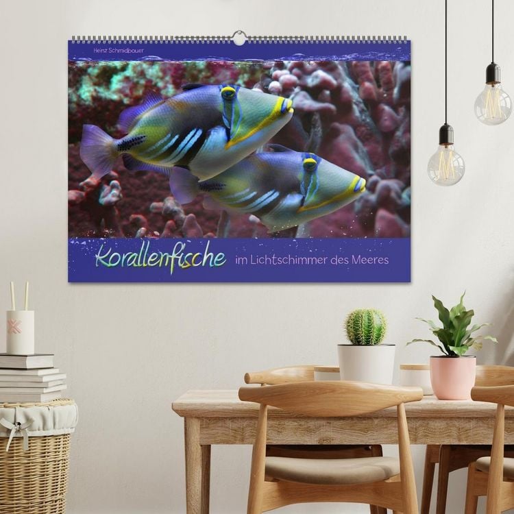 Produktbild: Korallenfische im Lichtschimmer des Meeres (Wandkalender 2027 DIN A2 quer), CALVENDO Monatskalender