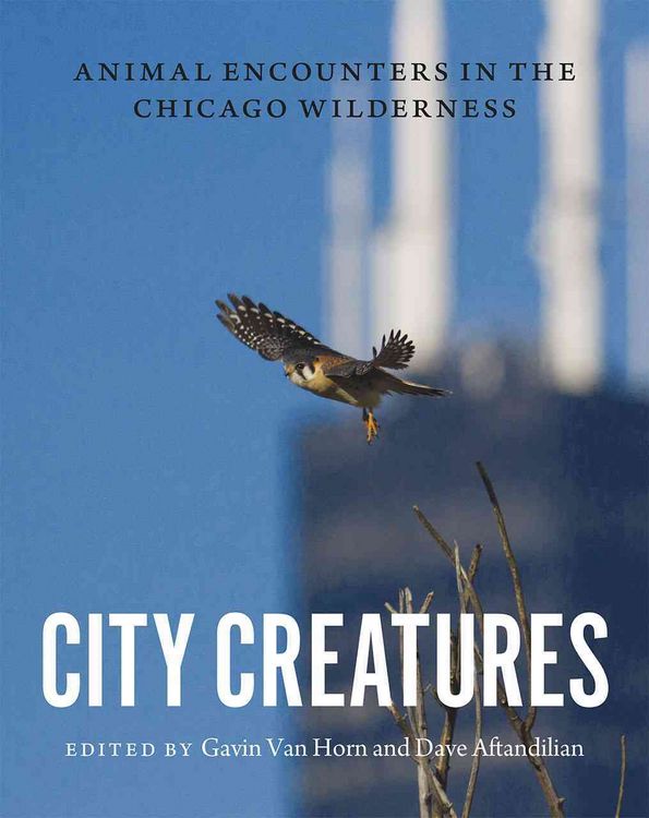 Produktbild: City Creatures