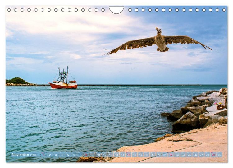 Produktbild: Florida &ndash; sunny beaches and mysterious swamps (Wall Calendar 2026 DIN A4 landscape), CALVENDO 12 Month Wall Calendar