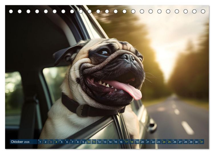 Produktbild: Lustige Mops-Hunde: Die charmanten Meister von Chaos und Unfug (Tischkalender 2026 DIN A5 quer), CALVENDO Monatskalender