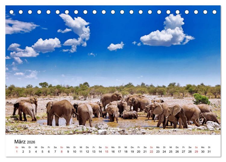 Produktbild: Namibias Elefanten (Tischkalender 2026 DIN A5 quer), CALVENDO Monatskalender