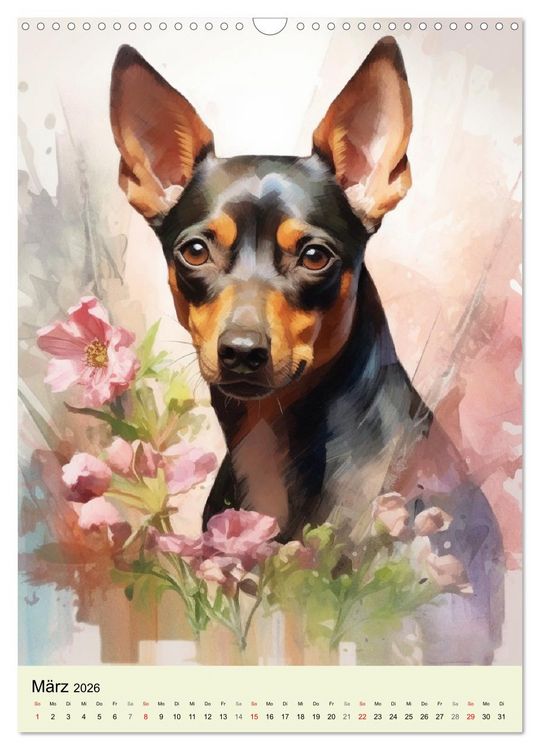 Produktbild: Kleine Hunde. Entz&uuml;ckend, lieblich, duftig (Wandkalender 2026 DIN A3 hoch), CALVENDO Monatskalender