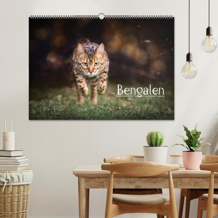Produktbild: Bengalen Outdoor und Action (Wandkalender 2026 DIN A2 quer), CALVENDO Monatskalender