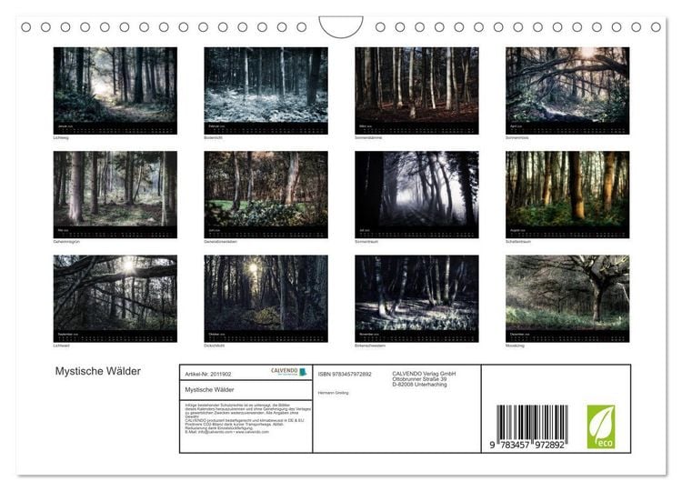 Produktbild: Mystische W&auml;lder (Wandkalender 2026 DIN A4 quer), CALVENDO Monatskalender