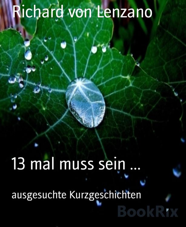 Produktbild: 13 mal muss sein ...