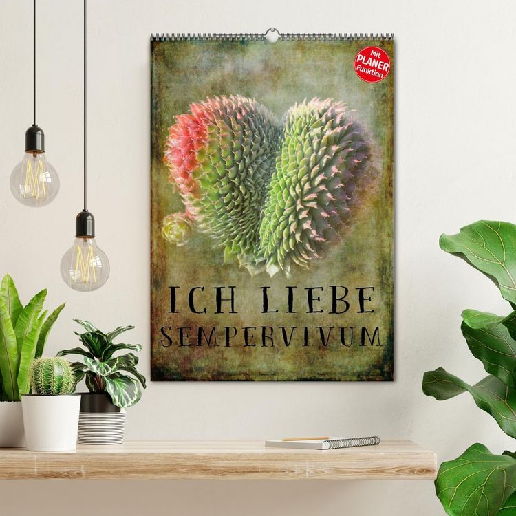 Produktbild: Ich liebe Sempervivum (Wandkalender 2026 DIN A2 hoch), CALVENDO Monatskalender