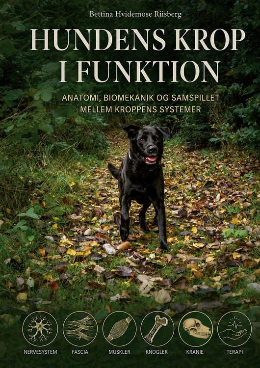 Produktbild: Hundens Krop i Funktion