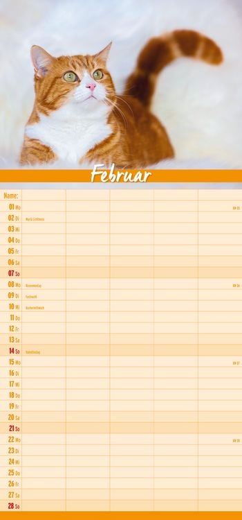 Produktbild: Katzen Familienplaner 2027
