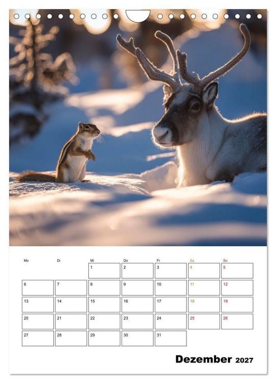 Produktbild: Ein Herz und eine Schnauze - Ein tierisch buntes Miteinander (Wandkalender 2027 DIN A4 hoch), CALVENDO Monatskalender