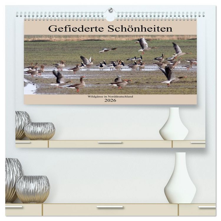 Produktbild: Gefiederte Sch&ouml;nheiten - Wildg&auml;nse in Norddeutschland (hochwertiger Premium Wandkalender 2026 DIN A2 quer), Kunstdruck in Hochglanz