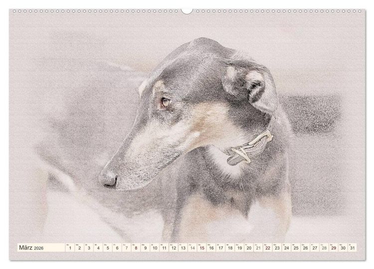 Produktbild: Windhunde 2026 (hochwertiger Premium Wandkalender 2026 DIN A2 quer), Kunstdruck in Hochglanz