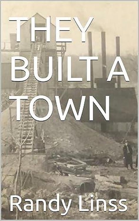 Produktbild: They Built A Town (The History Of Cole Camp, Missouri, #1)