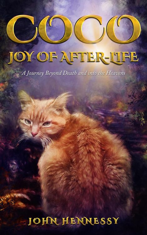 Produktbild: Coco: Joy of After-Life (A Journey Beyond Death and into the Heavens)