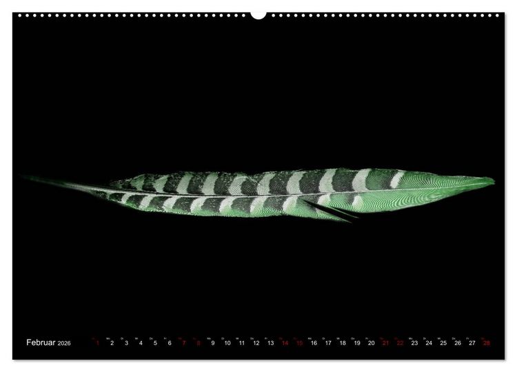 Produktbild: Federleichte Momente (Wandkalender 2026 DIN A2 quer), CALVENDO Monatskalender