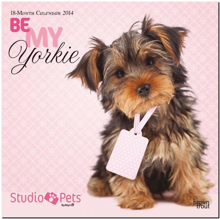 Produktbild: Be My Yorkie Calendar