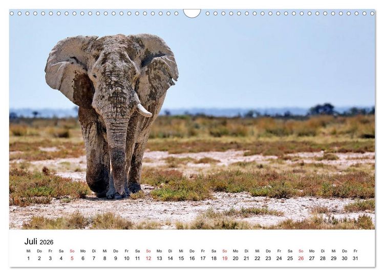 Produktbild: Namibias Elefanten (Wandkalender 2026 DIN A3 quer), CALVENDO Monatskalender