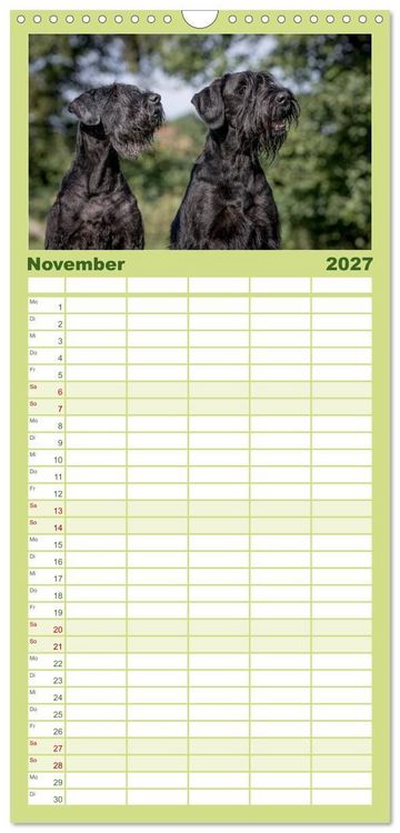 Produktbild: Familienplaner 2027 - Schnauzer... von Zwergen und Riesen 2027 mit 5 Spalten (Wandkalender, 21 x 45 cm) CALVENDO