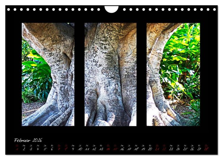 Produktbild: Die Kunst der Natur - Dreifach Stilvoll (Wandkalender 2026 DIN A4 quer), CALVENDO Monatskalender