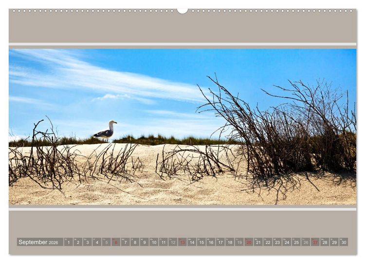 Produktbild: Strandblicke Borkum und Norderney (hochwertiger Premium Wandkalender 2026 DIN A2 quer), Kunstdruck in Hochglanz