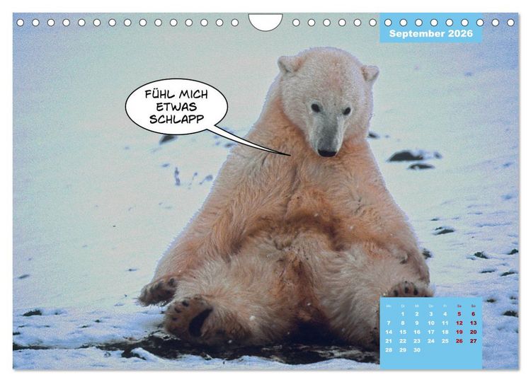 Produktbild: Lustige Eisb&auml;ren (Wandkalender 2026 DIN A4 quer), CALVENDO Monatskalender