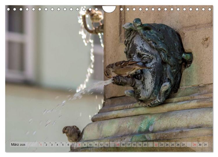 Produktbild: Augsburger Wasser (Wandkalender 2026 DIN A4 quer), CALVENDO Monatskalender