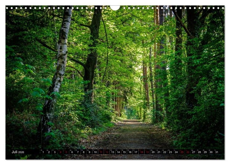 Produktbild: Wege des einfachen Gl&uuml;cks - Spazierg&auml;nge im Wald (Wandkalender 2026 DIN A3 quer), CALVENDO Monatskalender