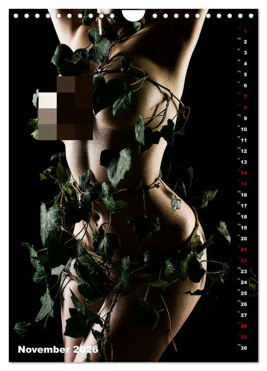 Produktbild: Fesselnde Sch&ouml;nheit (Wandkalender 2026 DIN A4 hoch), CALVENDO Monatskalender
