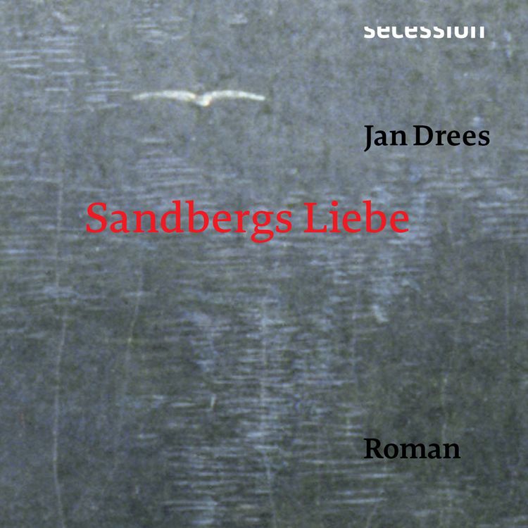 Produktbild: Sandbergs Liebe - Roman